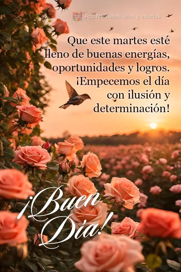 Que este martes esté lleno de buenas energías, oportunidades y logros. ¡Empecemos el día con ilusión y determinación! ¡Buen día!