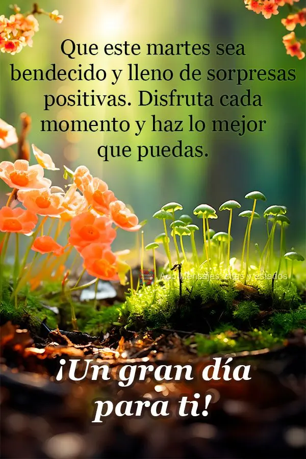 Que este martes sea bendecido y lleno de sorpresas positivas. Disfruta cada momento y haz lo mejor que puedas. ¡Un gran día para ti!