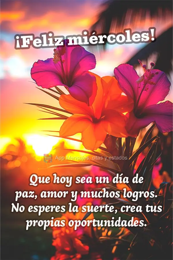 Que hoy sea un día de paz, amor y muchos logros. No esperes la suerte, crea tus propias oportunidades. ¡Feliz miércoles!
