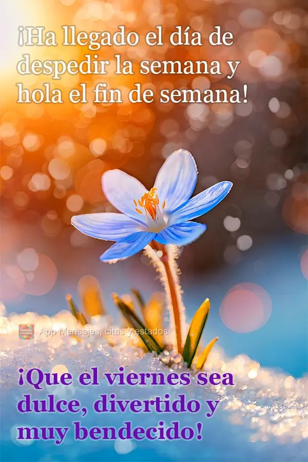 ¡Ha llegado el día de despedir la semana y hola el fin de semana! ¡Que el viernes sea dulce, divertido y muy bendecido!