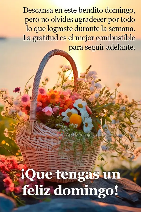 Descansa en este bendito domingo, pero no olvides agradecer por todo lo que lograste durante la semana. La gratitud es el mejor combustible para seguir a...