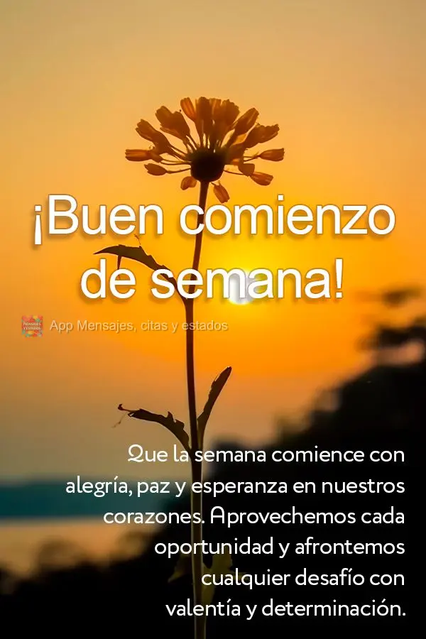 Que la semana comience con alegría, paz y esperanza en nuestros corazones. Aprovechemos cada oportunidad y afrontemos cualquier desafío con valentía y...