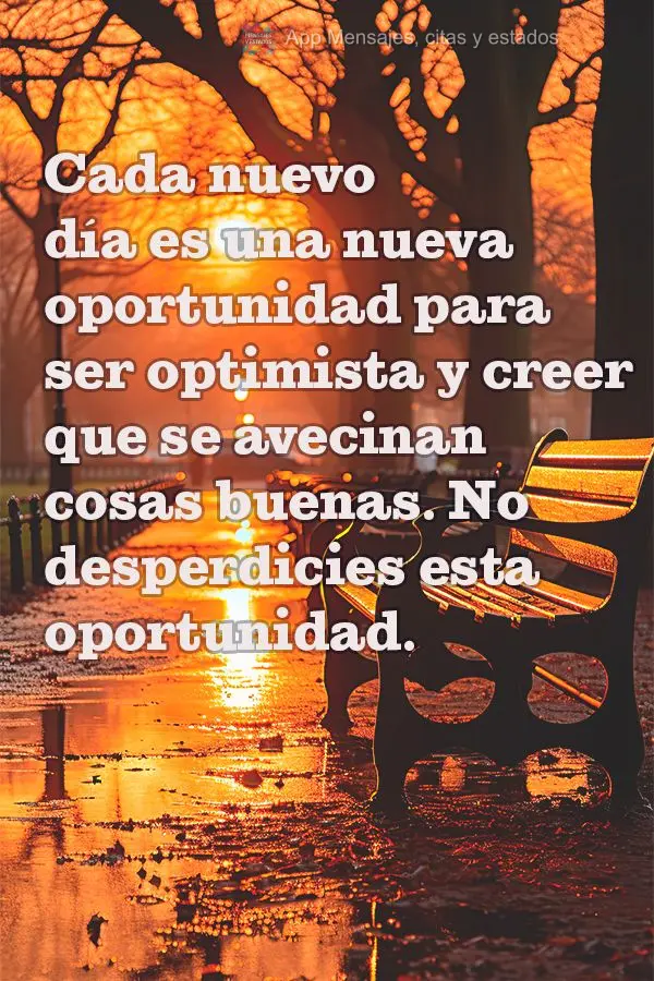 Cada nuevo día es una nueva oportunidad para ser optimista y creer que se avecinan cosas buenas. No desperdicies esta oportunidad.