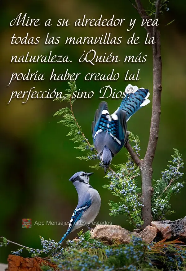 Mire a su alrededor y vea todas las maravillas de la naturaleza. ¿Quién más podría haber creado tal perfección, sino Dios?