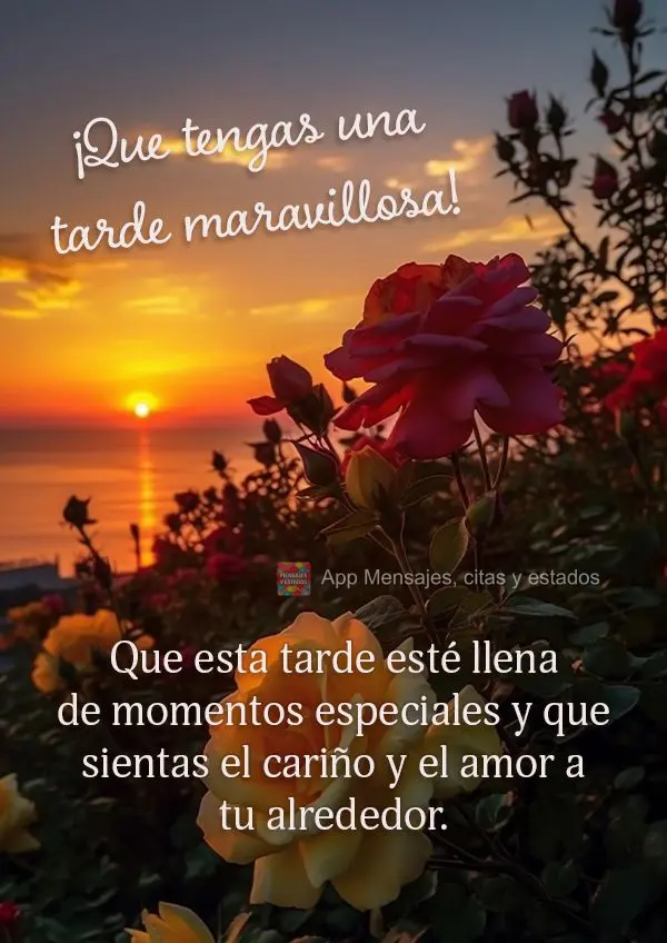 Que esta tarde esté llena de momentos especiales y que sientas el cariño y el amor a tu alrededor. ¡Que tengas una tarde maravillosa!