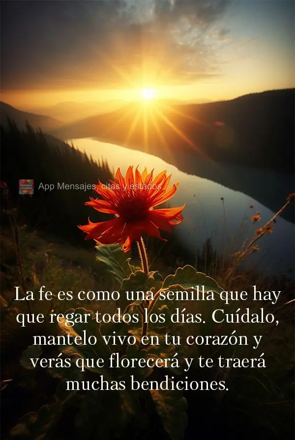 La fe es como una semilla que hay que regar todos los días. Cuídalo, mantelo vivo en tu corazón y verás que florecerá y te traerá muchas bendicione...