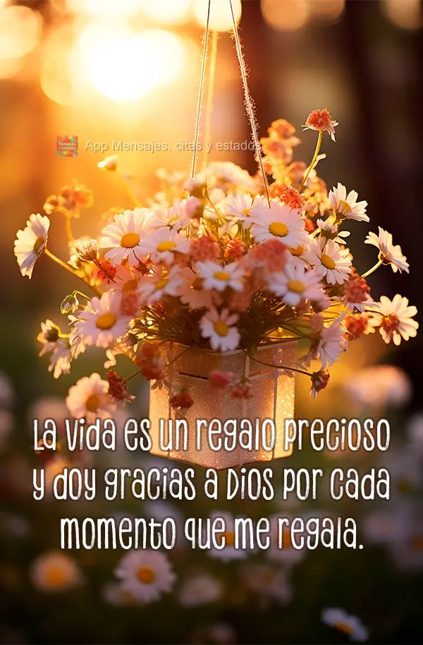 La vida es un regalo precioso y doy gracias a Dios por cada momento que me regala.