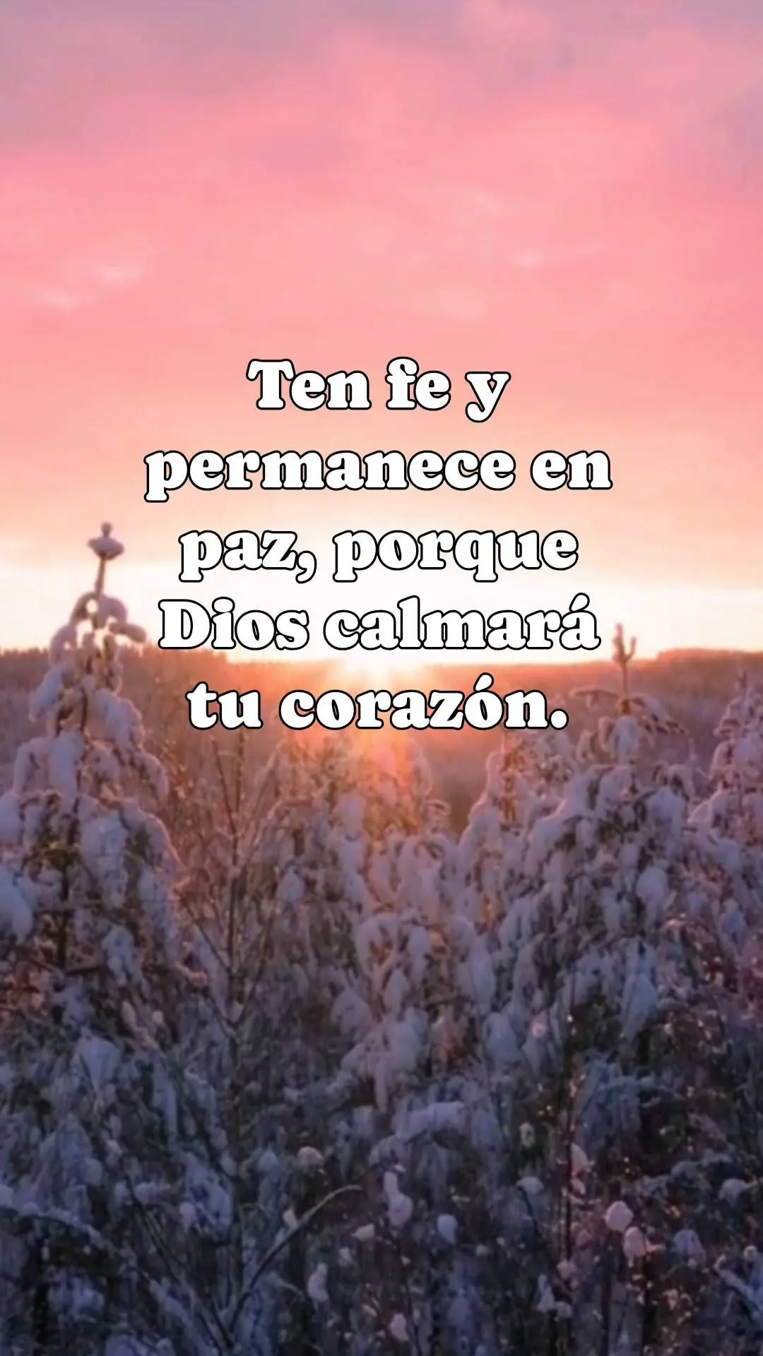 Tenha fé e mantenha-se em paz, pois Deus tranquilizará seu coração.  Nunca perca a esperança, pois ela é a luz que il