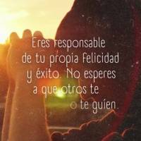 Você é responsável por sua própria felicidade e sucesso. Não espere que os outros te motivem ou te guiem. Seja seu próprio impulsionador e faça ac...
