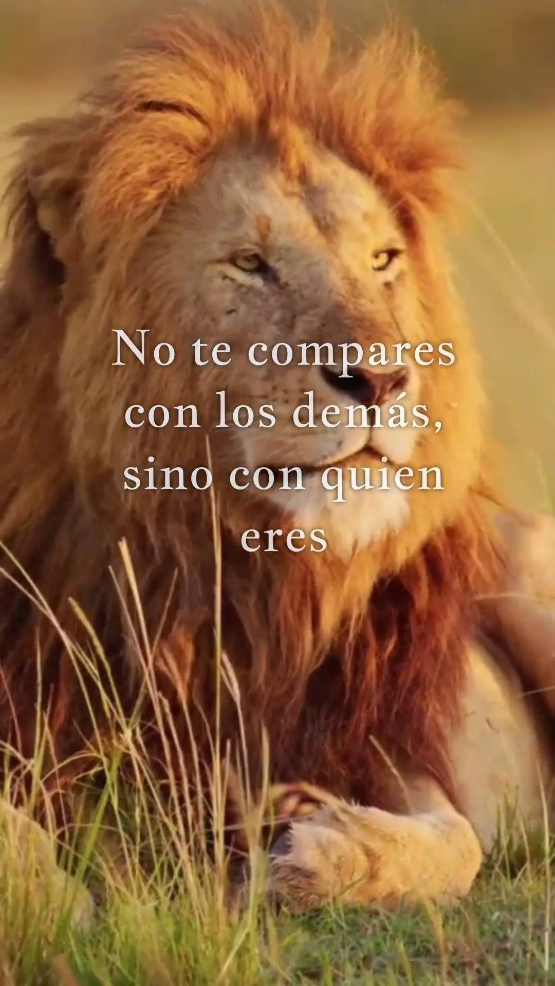 Lembre-se sempre que o 
seu maior concorrente é você mesmo.  Não se compare com os outros, mas sim com quem vo