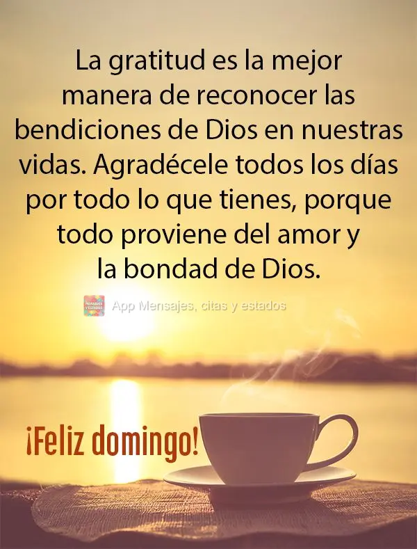 La gratitud es la mejor manera de reconocer las bendiciones de Dios en nuestras vidas. Agradécele todos los días por todo lo que tienes, porque todo pr...