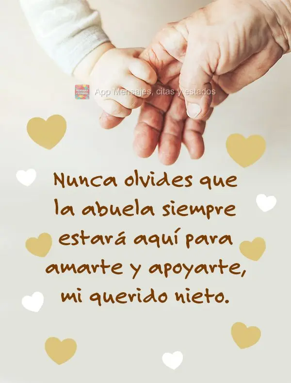Nunca esqueça que a vovó estará sempre aqui para te amar e te apoiar, meu neto querido.