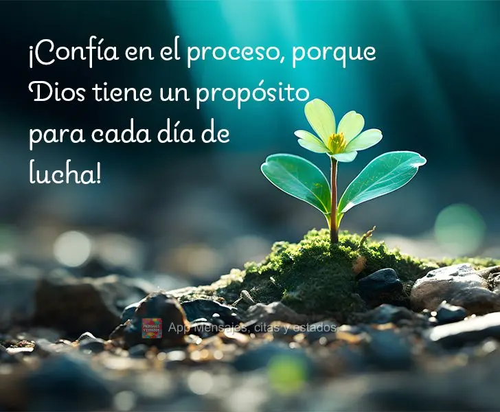 Confie no processo, porque Deus tem um propósito para cada dia de luta!