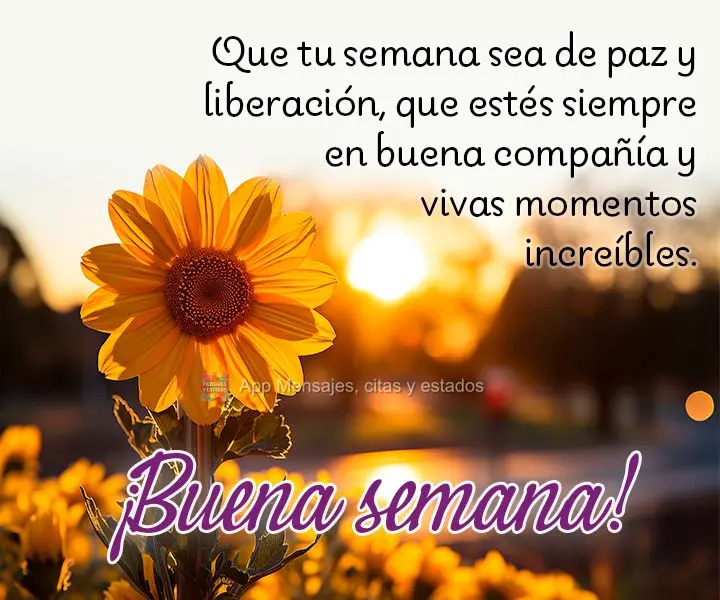 Que a sua semana seja de paz e libertação, que possa estar sempre em boa companhia e vivenciar momentos incríveis. Boa Semana!
