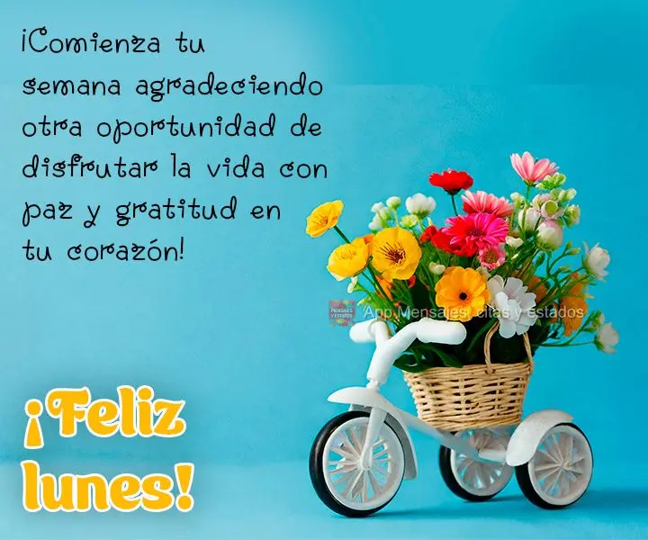 ¡Comienza tu semana agradeciendo otra oportunidad de disfrutar la vida con paz y gratitud en tu corazón! ¡Feliz lunes!