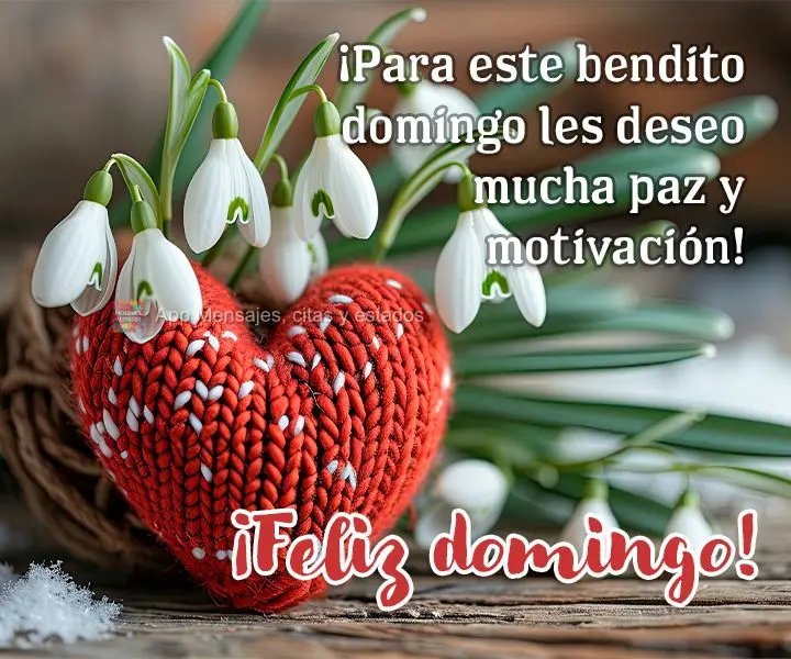 ¡Para este bendito domingo les deseo mucha paz y motivación! ¡Feliz domingo!