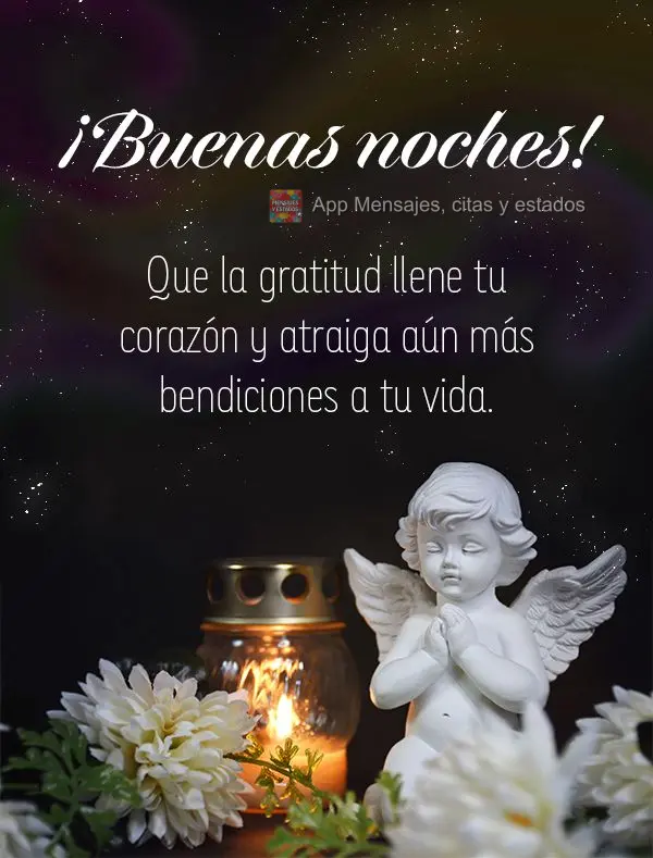 Que a gratidão preencha seu coração e atraia ainda mais bênçãos para sua vida. Boa noite!