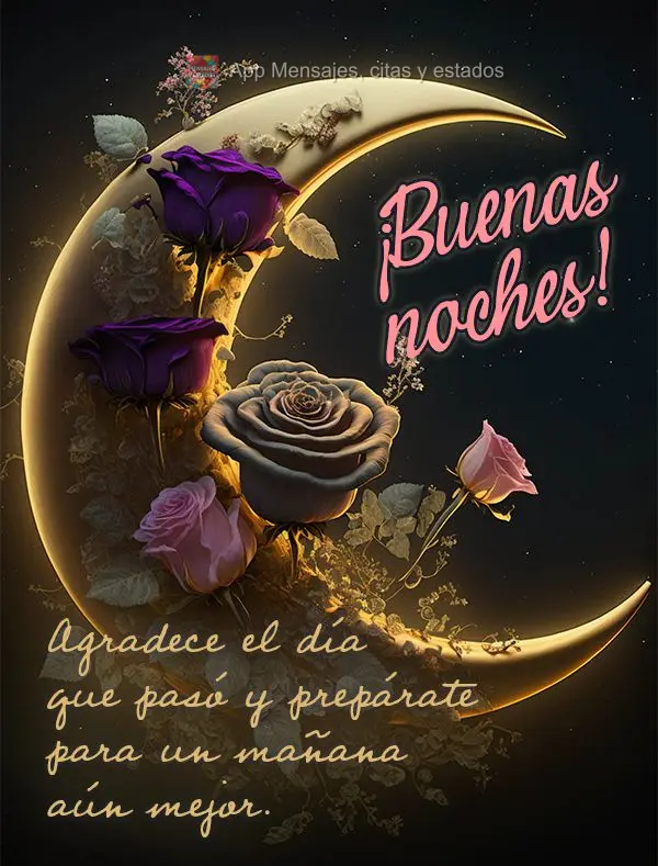 Agradeça pelo dia que passou e prepare-se para um amanhã ainda melhor. Boa noite!