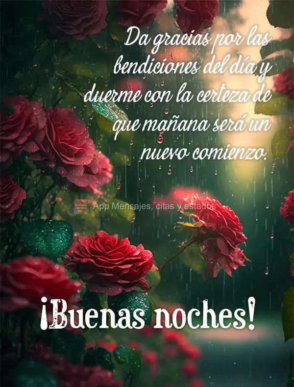 Agradeça pelas bênçãos do dia e durma com a certeza de que amanhã será um novo recomeço. Boa noite!