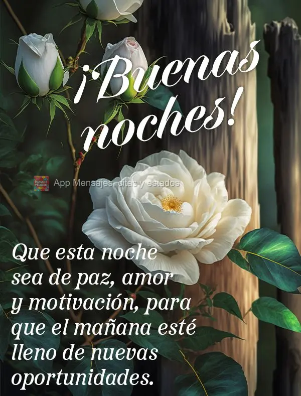 Que esta noite seja de paz, amor e motivação, para que o amanhã seja de novas oportunidades. Boa noite!