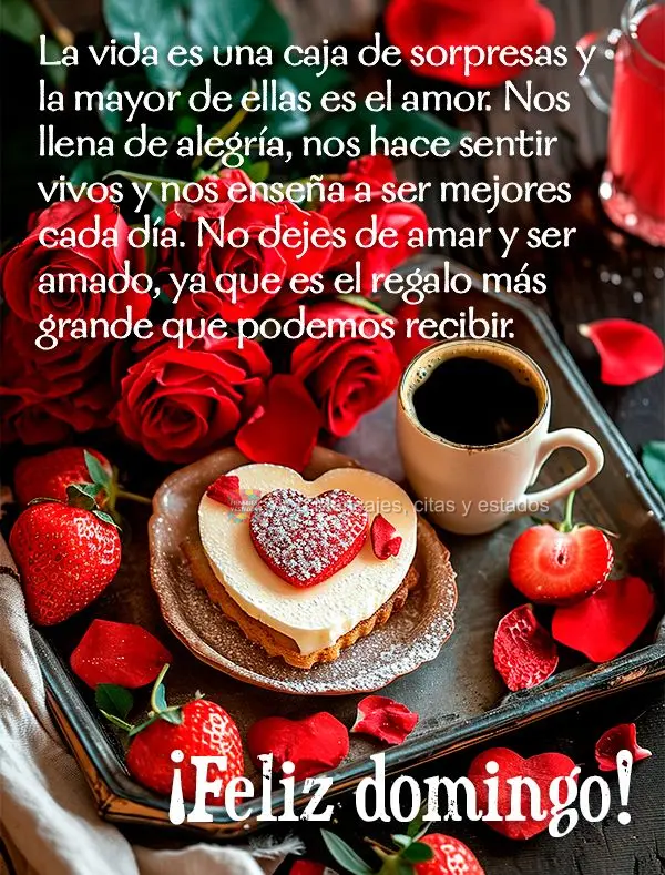 La vida es una caja de sorpresas y la mayor de ellas es el amor. Nos llena de alegría, nos hace sentir vivos y nos enseña a ser mejores cada día. No d...