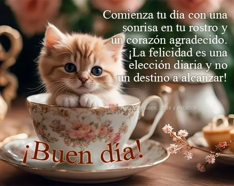 Comece o seu dia com um sorriso no rosto e um coração grato. A felicidade é uma escolha diária e não um destino a ser alcançado! Bom dia!