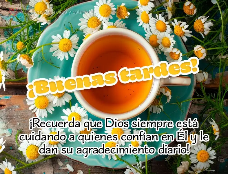 ¡Recuerda que Dios siempre está cuidando a quienes confían en Él y le dan su agradecimiento diario! ¡Buenas tardes!