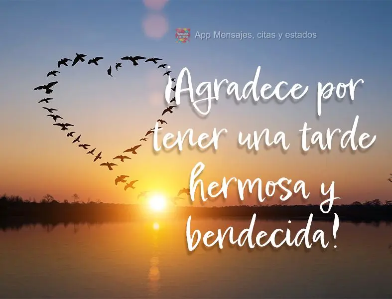 Seja grato por viver uma tarde linda e abençoada!