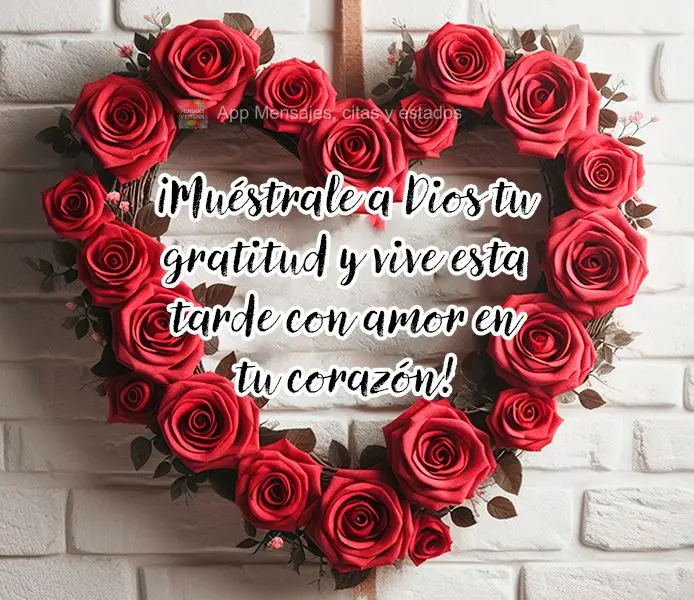 Mostre a Deus a sua gratidão e viva esta tarde com amor no coração!