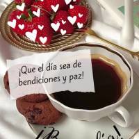 Que o dia seja de bênçãos e paz! Bom dia!