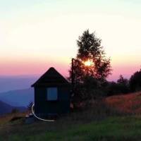 Que a sua tarde tenha um pouco de paz, gratidão e as bênçãos de Deus! Boa tarde!