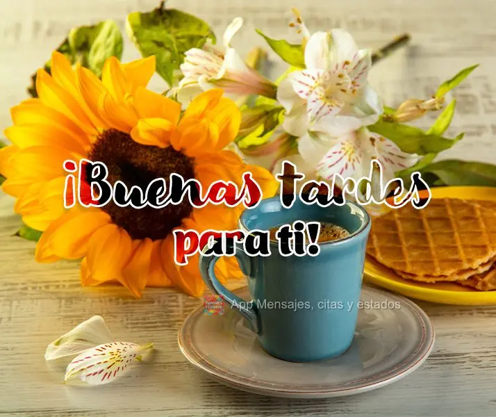 ¡Buenas tardes para ti!