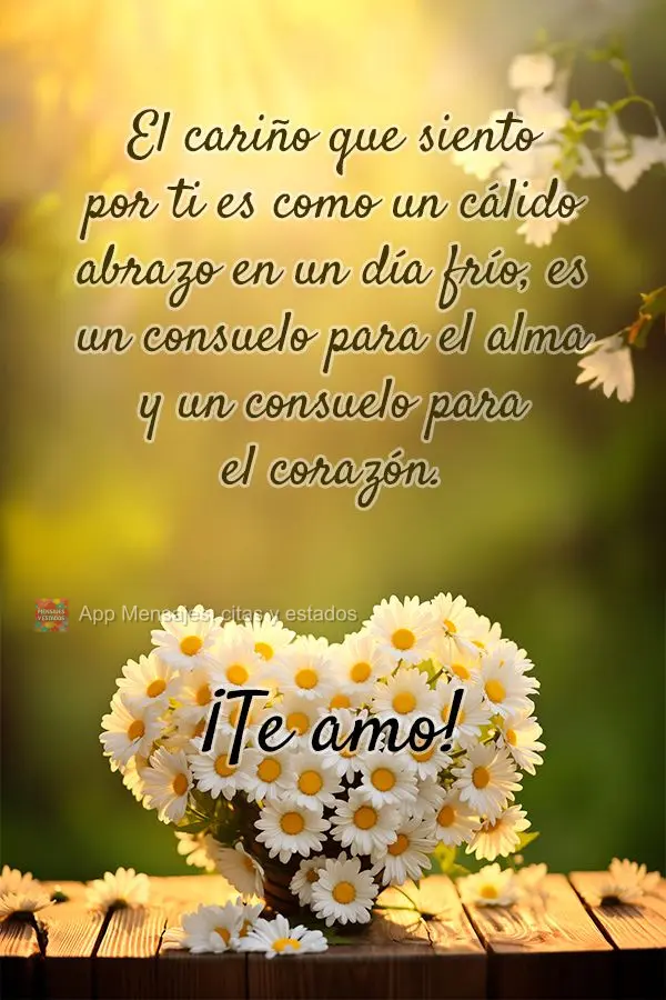El cariño que siento por ti es como un cálido abrazo en un día frío, es un consuelo para el alma y un consuelo para el corazón. ¡Te amo!