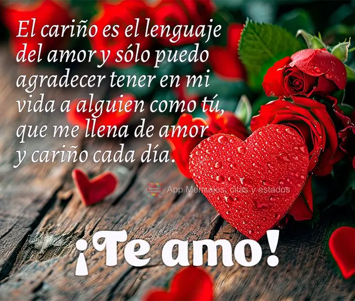 El cariño es el lenguaje del amor y sólo puedo agradecer tener en mi vida a alguien como tú, que me llena de amor y cariño cada día. ¡Te amo!
