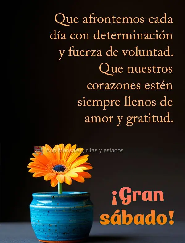 Que afrontemos cada día con determinación y fuerza de voluntad. Que nuestros corazones estén siempre llenos de amor y gratitud. ¡Gran sábado!