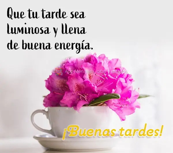 Que seu tarde seja leve e cheia de boas energias. Boa tarde!