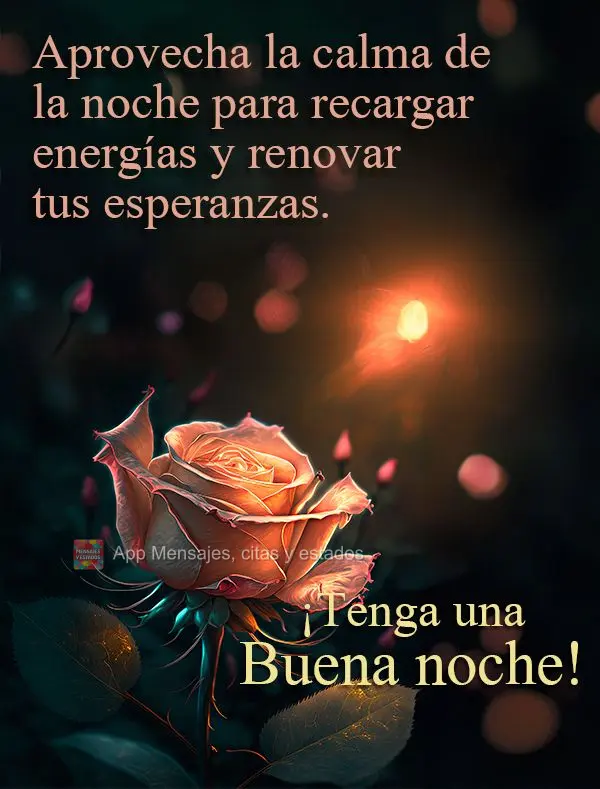 Aproveite a calma da noite para recarregar suas energias e renovar suas esperanças. Tenha uma boa noite!