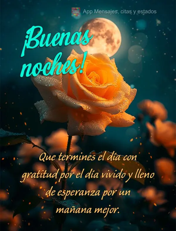 Que você possa terminar o dia com gratidão pelo dia vivido, e cheia de esperança por um amanhã melhor. Boa noite!