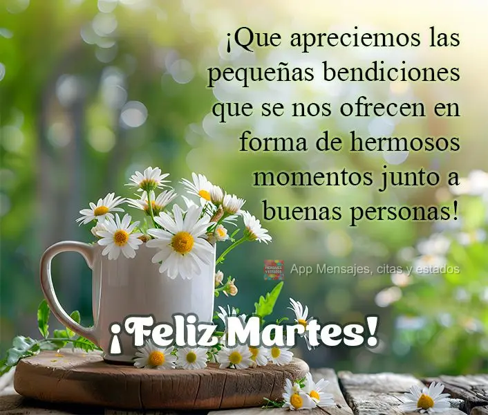 ¡Que apreciemos las pequeñas bendiciones que se nos ofrecen en forma de hermosos momentos junto a buenas personas! ¡Feliz martes!