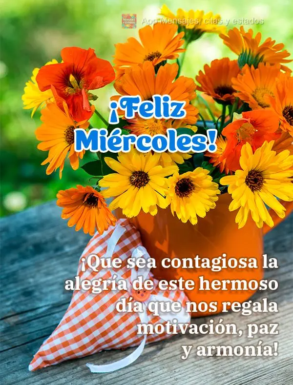 Que seja contagiante a alegria deste lindo dia que nos dá motivação, paz e harmonia! Feliz Quarta-feira!