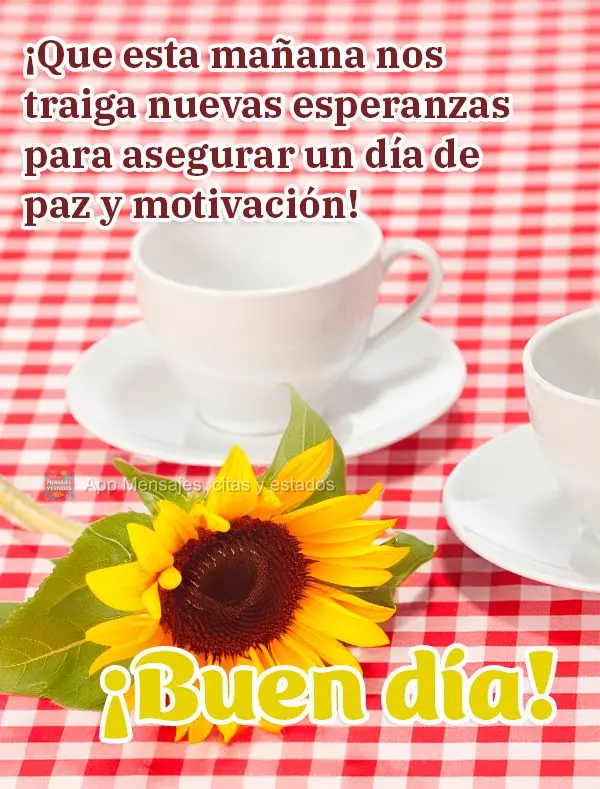 Que esta manhã possa nos trazer novas esperanças para garantir um dia de paz e motivação! Bom dia!