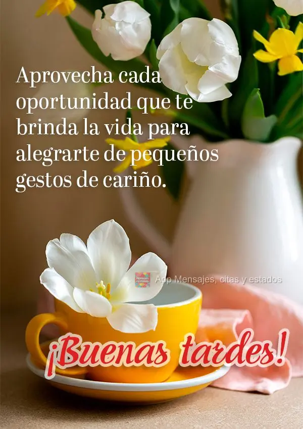 Aproveite cada oportunidade que a vida lhe dá para se alegrar com os pequenos gestos de carinho. Boa tarde!