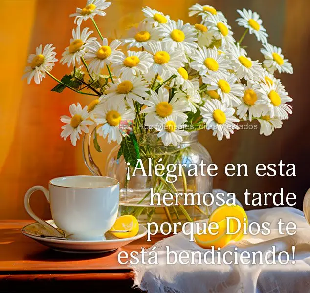 Alegre-se nesta linda tarde pois Deus está te abençoando!