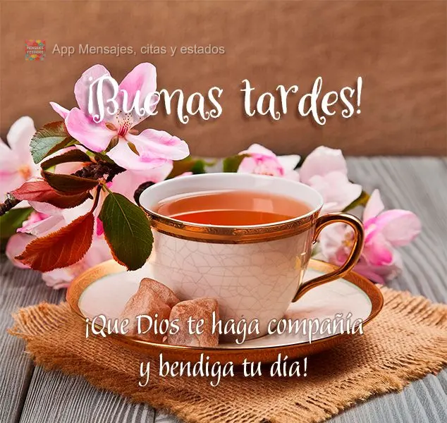 Que Deus lhe faça companhia e abençoe o seu dia! Boa tarde!