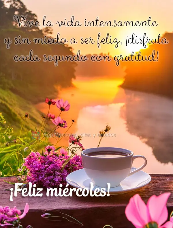 Viva a vida de forma intensa e sem medo de ser feliz, aproveite cada segundo com gratidão! Feliz Quarta-feira!