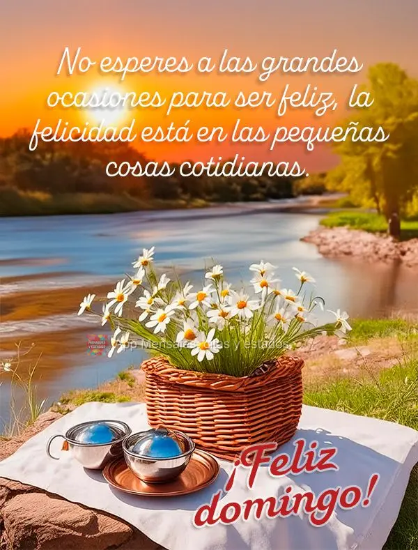No esperes a las grandes ocasiones para ser feliz, la felicidad está en las pequeñas cosas cotidianas. ¡Feliz domingo!