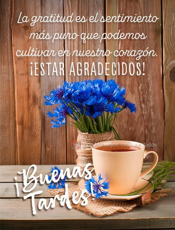 A gratidão é o sentimento mais puro que podemos cultivar em nossos corações. Seja grato! Boa tarde!