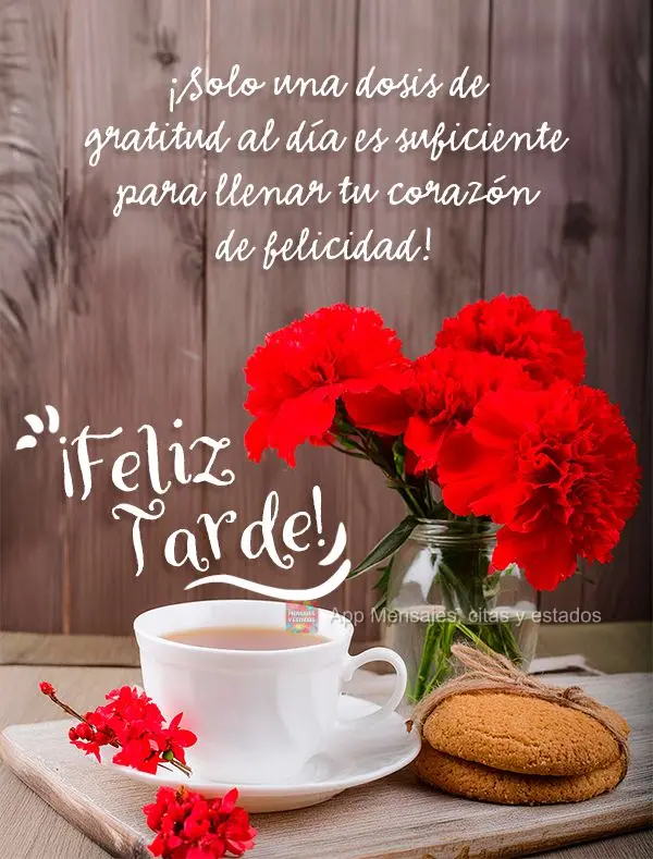 Basta apenas uma dose de gratidão por dia para que se alimente de felicidade o coração! Boa tarde!