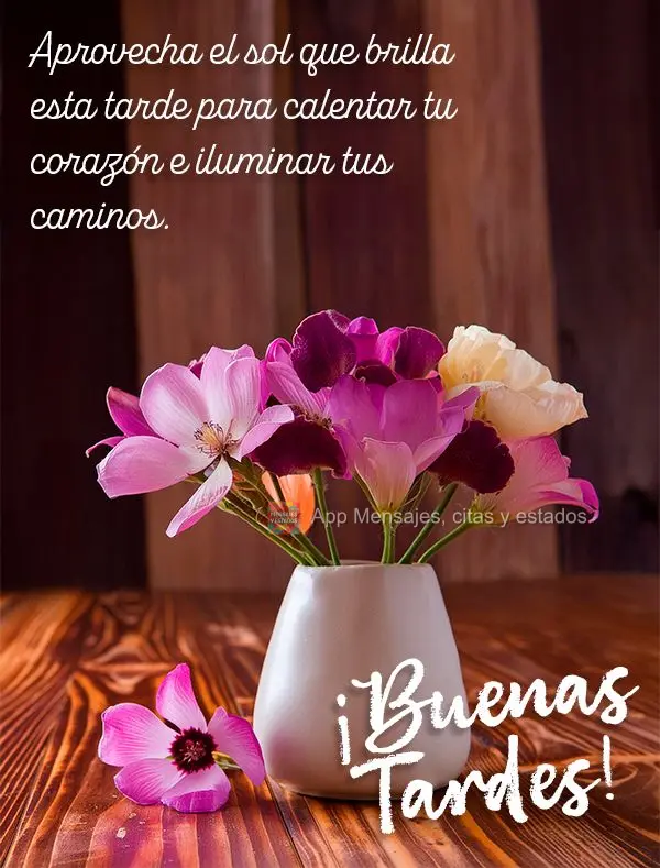 Aproveite o sol que brilha nesta tarde para aquecer seu coração e iluminar seus caminhos. Boa tarde!