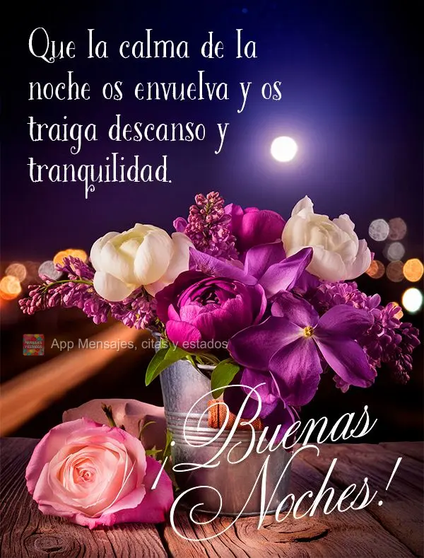 Que a calma da noite te envolva e te traga descanso e tranquilidade. Boa noite!